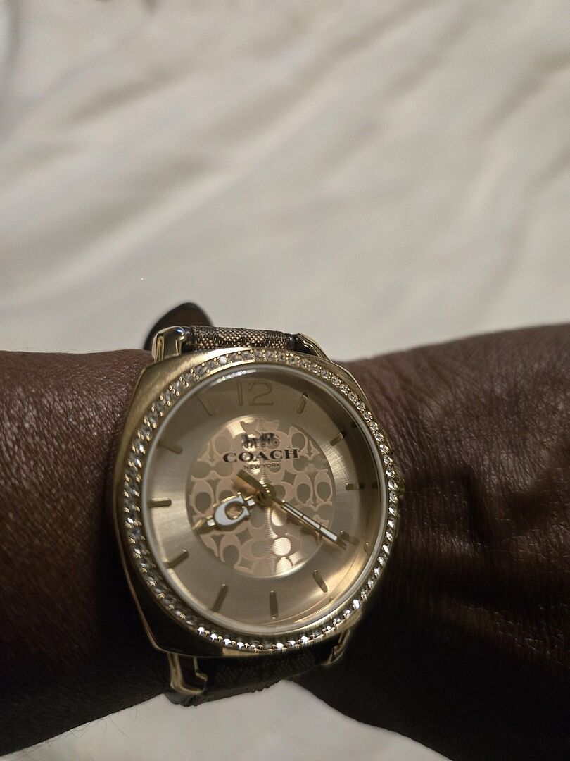Coach| Movado Company Store | Coach Boyfriend display picture 3
