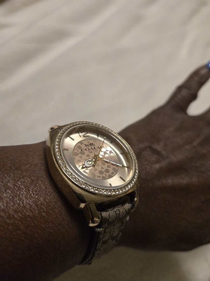 Coach| Movado Company Store | Coach Boyfriend display picture 2