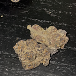 Customer Review Image
