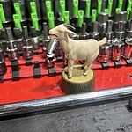 Customer Review Image