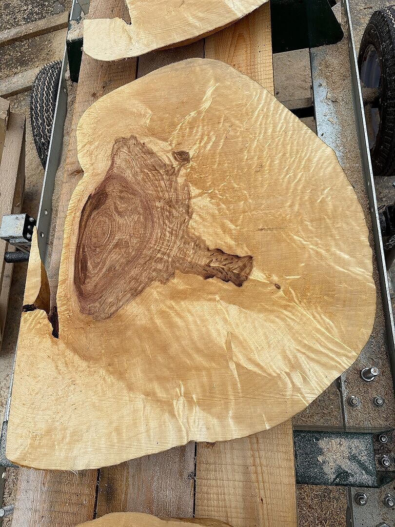 Outstanding Sawmill, Outstanding Company