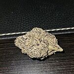 Customer Review Image