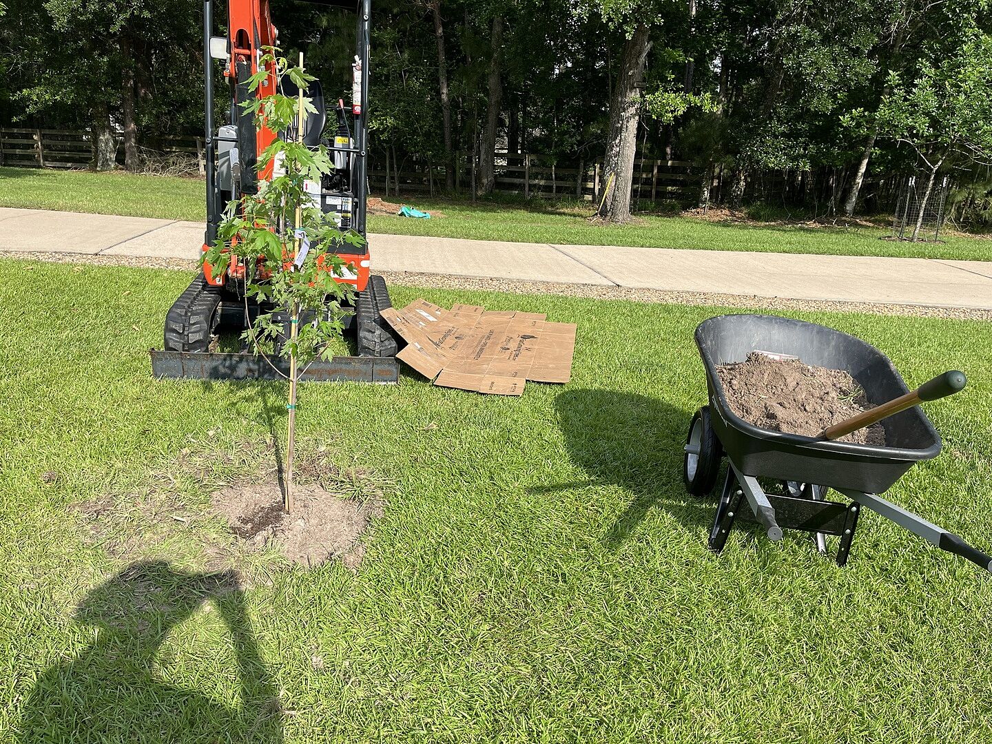 Better Than From Local Nursery