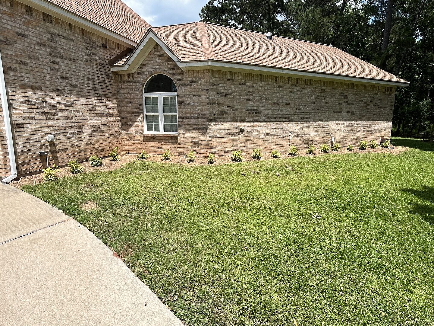 Better Than From Local Nursery