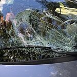 Image of Review by Susan K. on 26 Jul 2026 number 2