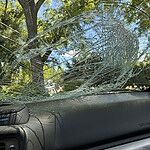 Image of Review by Susan K. on 26 Jul 2026 number 1