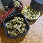 Customer photo of Peanut Butter Cookies THCa Flower