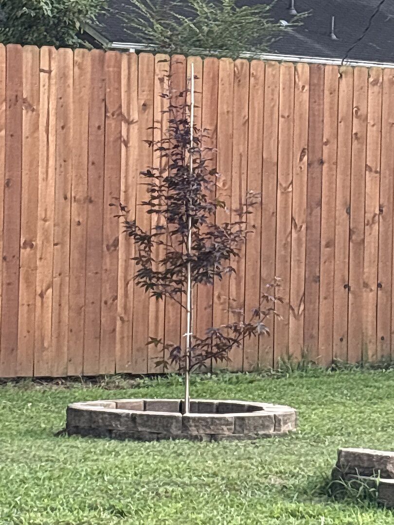 Seems to be doing OK.