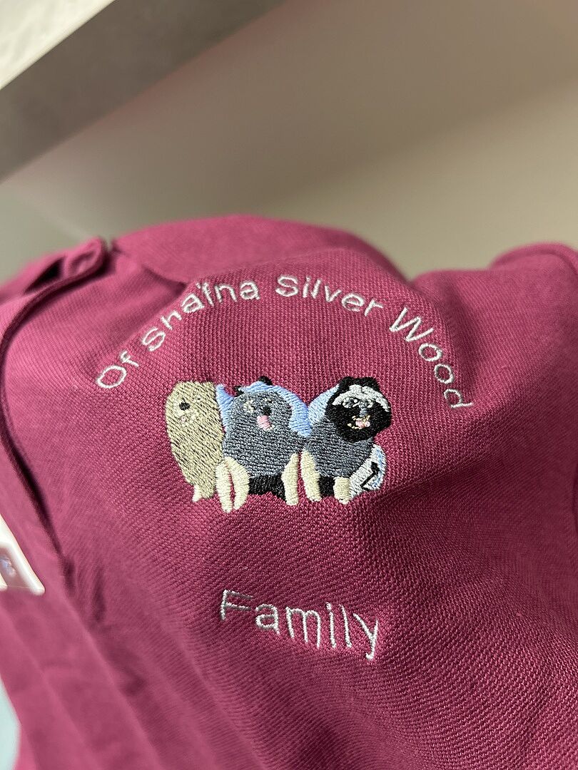 Image en broderie loupé