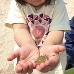 Image of Review by 安心の安です！ on 31 Jul 2026 number 3