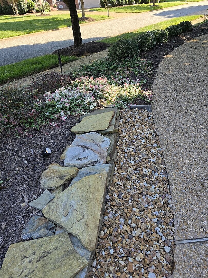 Hard to find ground cover