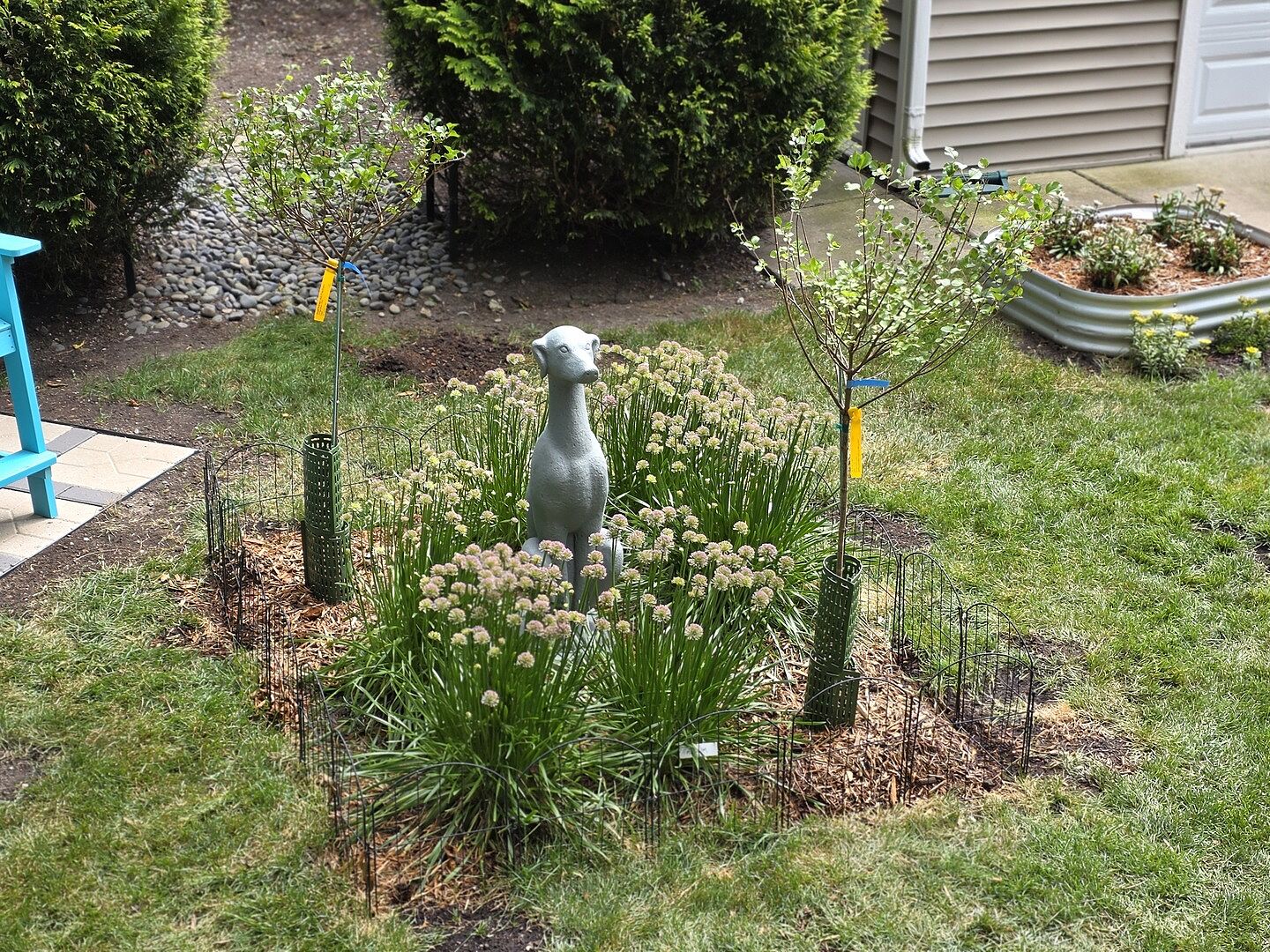 Excited to See Next Year's Blooms