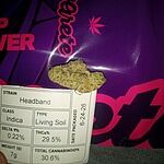 Customer Review Image