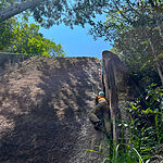 Image of Review by beri on  5 Aug 2026 number 1