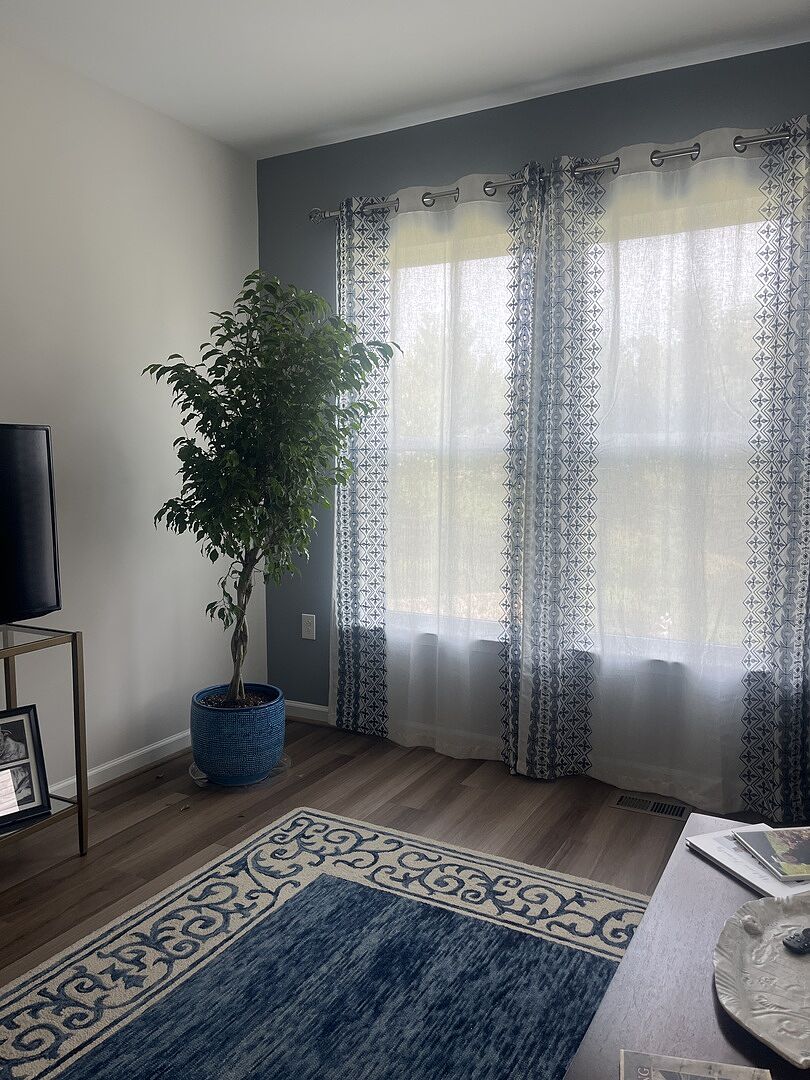 Customer review of Braided Benjamina Ficus Tree