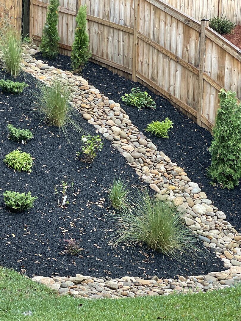 Customer review of White Cloud Muhly Grass