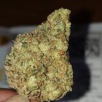 Customer Review Image
