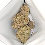 Customer Review Image