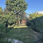 Image of Review by Elisa H. on 12 Aug 2026 number 1