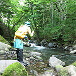 Image of Review by ポール on 14 Aug 2026 number 1