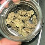 Customer Review Image