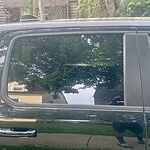 Image of Review by GeMal W. on 15 Aug 2026 number 3