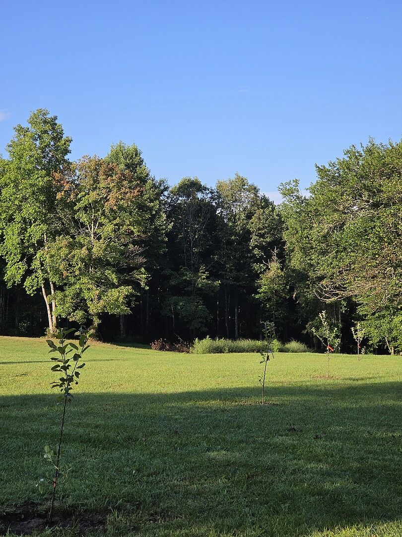 The TREE PLANTING KIT Gift, is very handy for making your tree secure until it has become secure on its own.