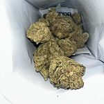Customer Review Image