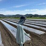 Image of Review by しまんちゅ on 21 Aug 2026 number 1