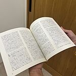 Image of Review by Tamato on 21 Aug 2026 number 1