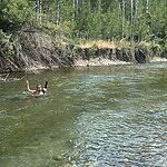 Image of Review by Tj M. on 22 Aug 2026 number 1