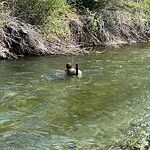 Image of Review by Tj M. on 22 Aug 2026 number 2
