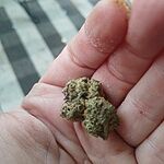 Customer Review Image