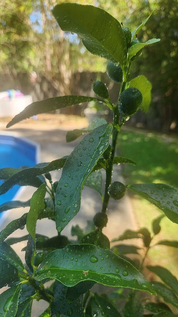 Already bearing fruit!