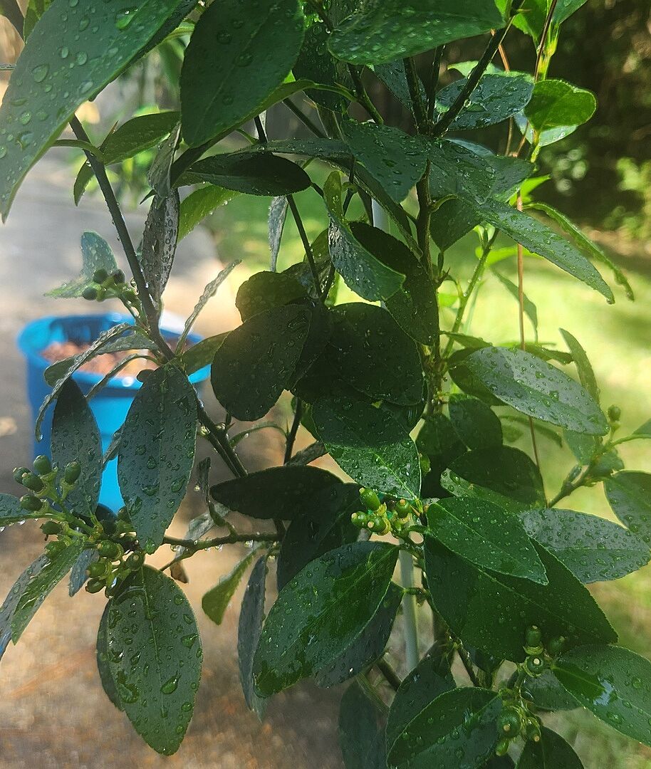 Already bearing fruit!