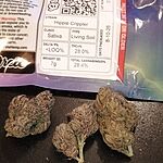 Customer Review Image