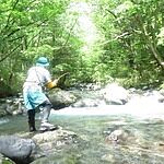Image of Review by ポール on 26 Aug 2026 number 1