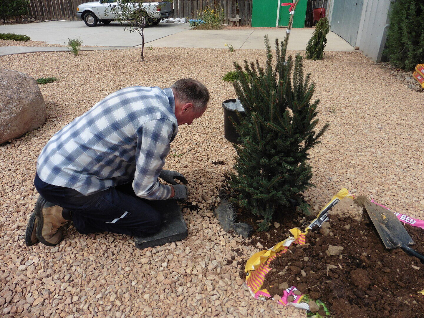 Customer review of Montrose Spire White Spruce