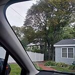 Image of Review by Brittany on 30 Aug 2026 number 1