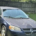 Image of Review by Deanna G. on 31 Aug 2026 number 2