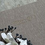 Image of Review by DeAnza A. on 12 Sep 2026 number 1