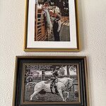 Image of Review by Megan L. on 20 Sep 2026 number 1