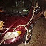 Image of Review by Johnny R. on 22 Sep 2026 number 1