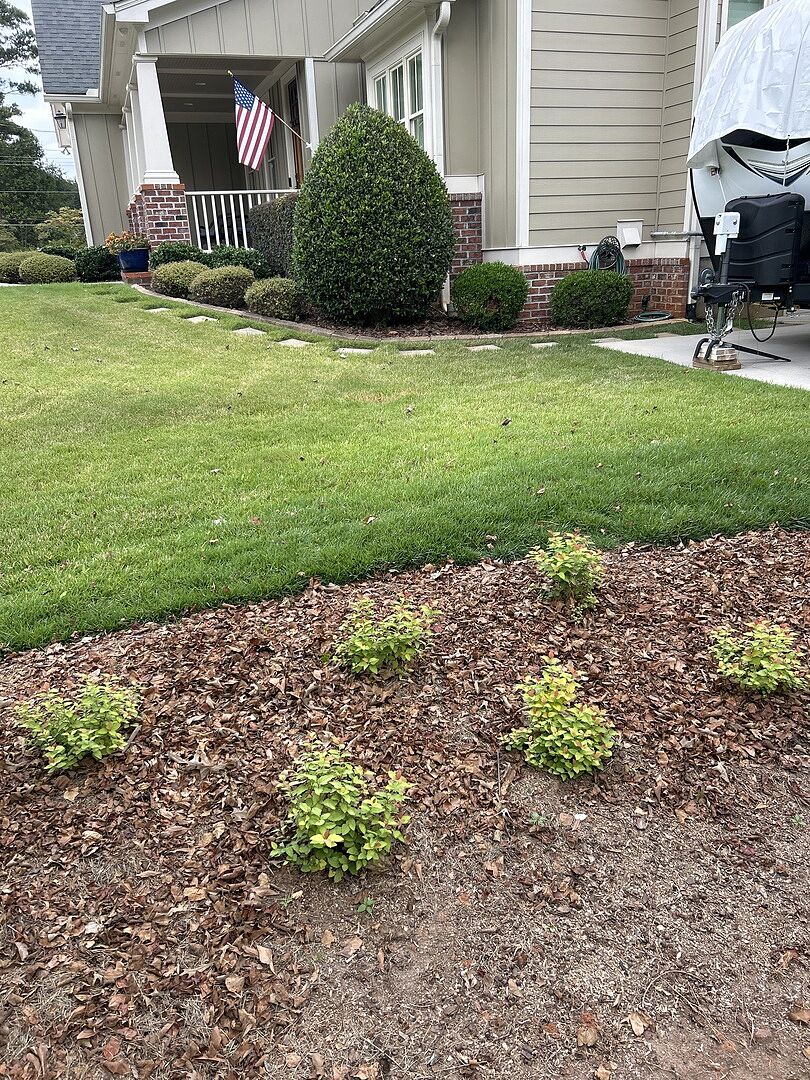 Customer review of Proven Winners® Double Play® Candy Corn® Spiraea Shrub