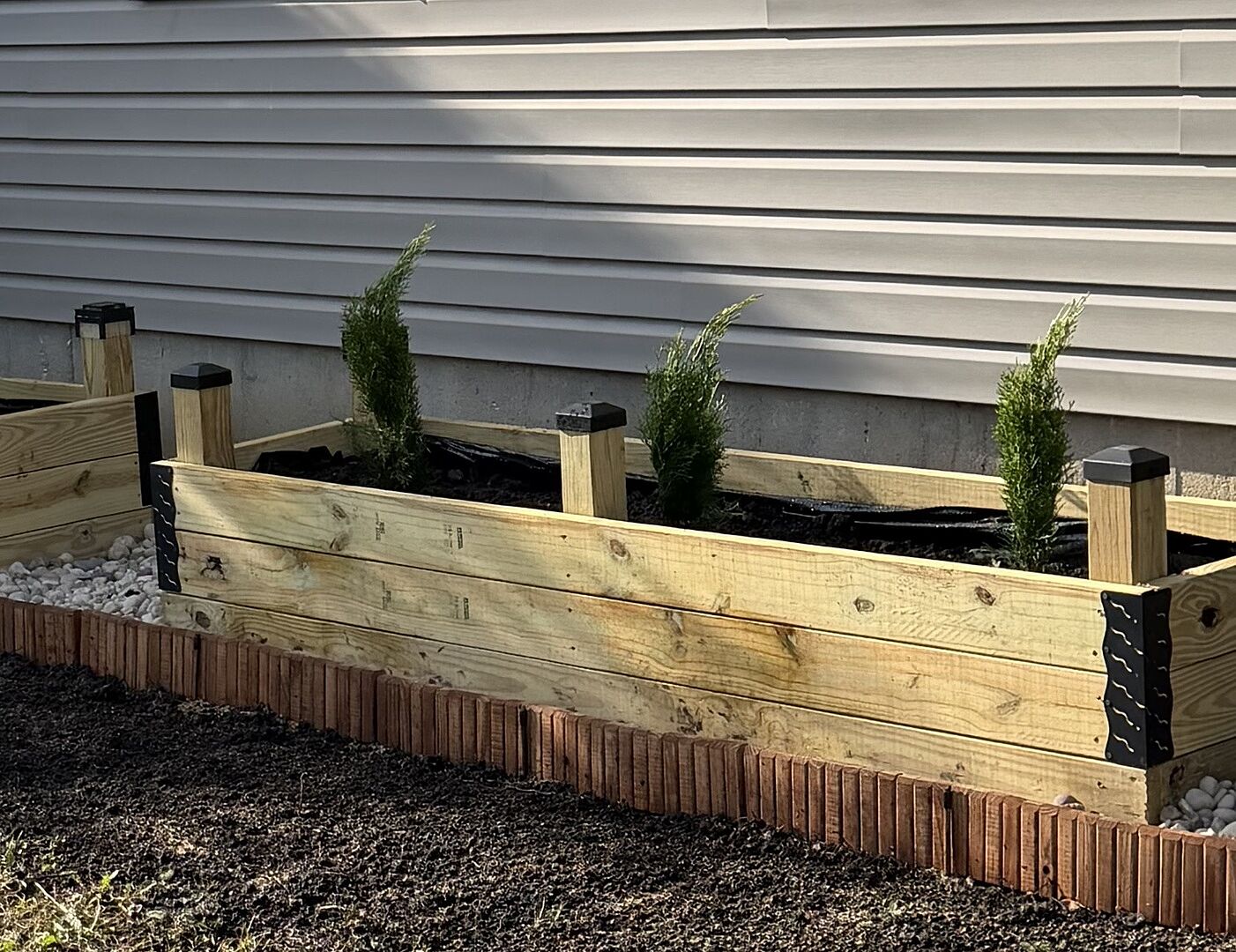 Customer review of Emerald Green Arborvitae