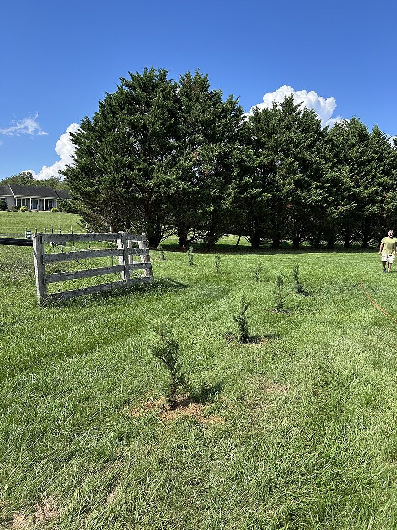 Trees came quickly, healthy and