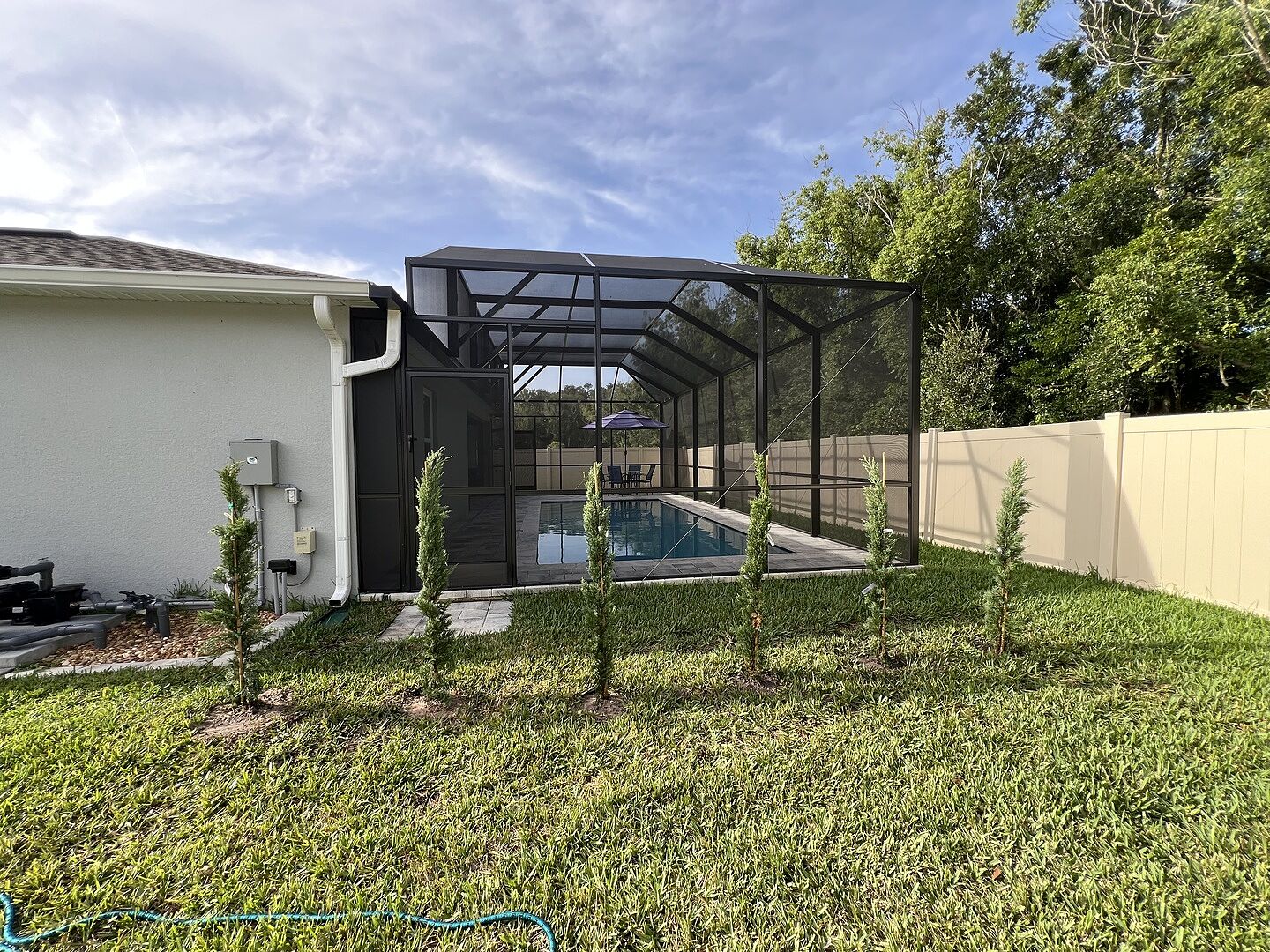 Customer review of Italian Cypress Tree