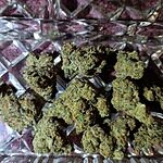 Customer photo of Laughing Gas THCa Flower