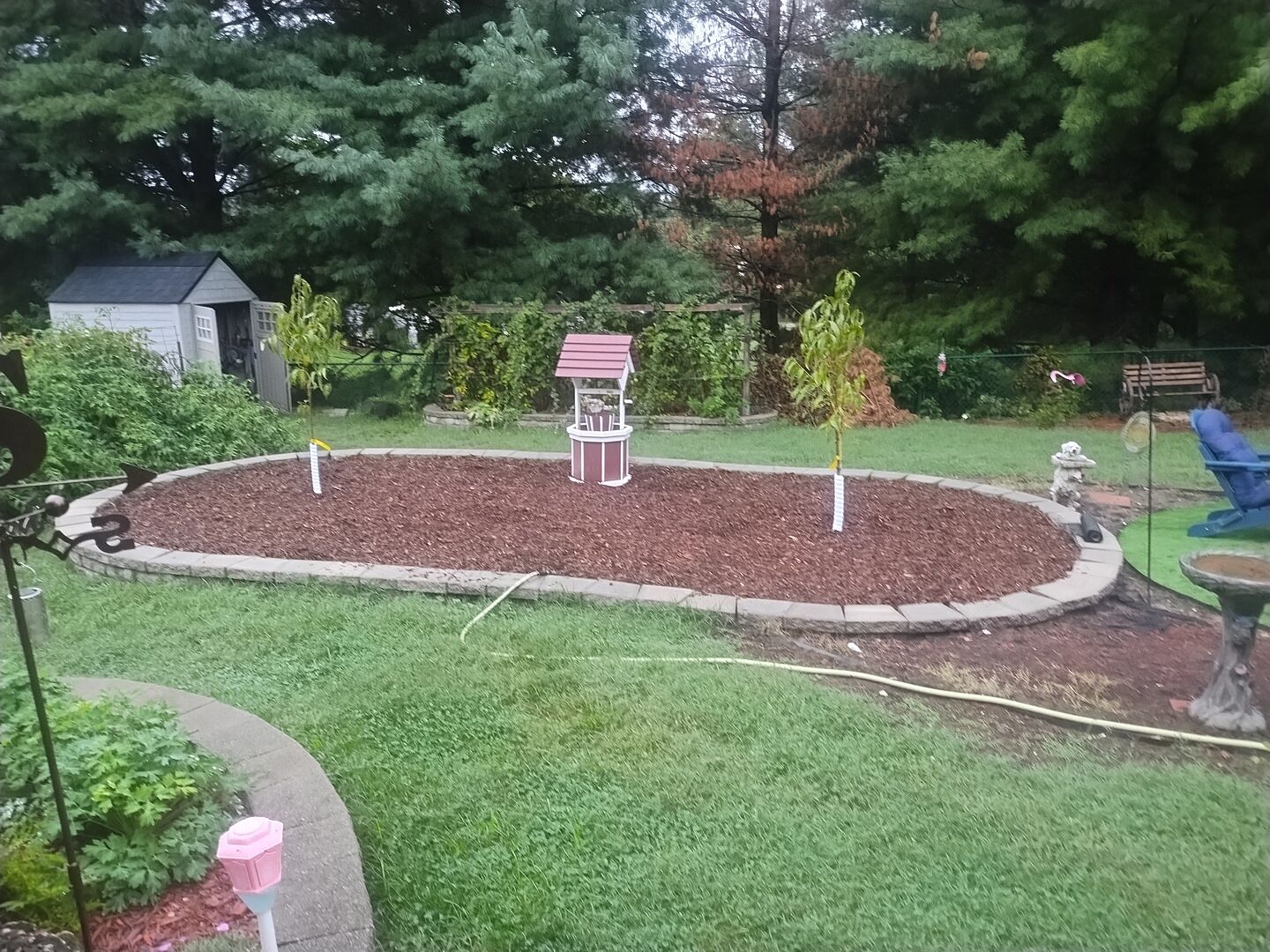Customer review of Harvester Peach Tree