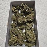 Customer Review Image